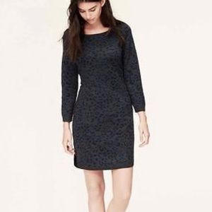 Ann Taylor Blue Leopard Sweater Dress